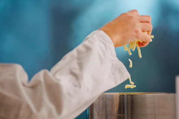 Lab cheese Hoersholm