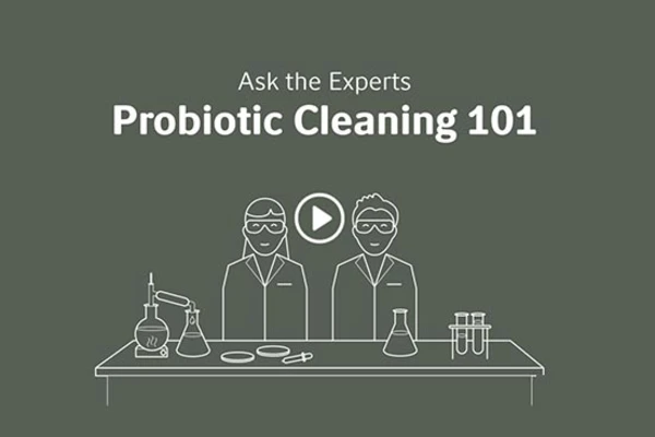 ask the experts video