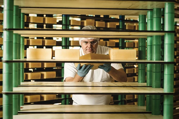 A worker in a cheesemaking plant taking a large square of cheese off a shelf 