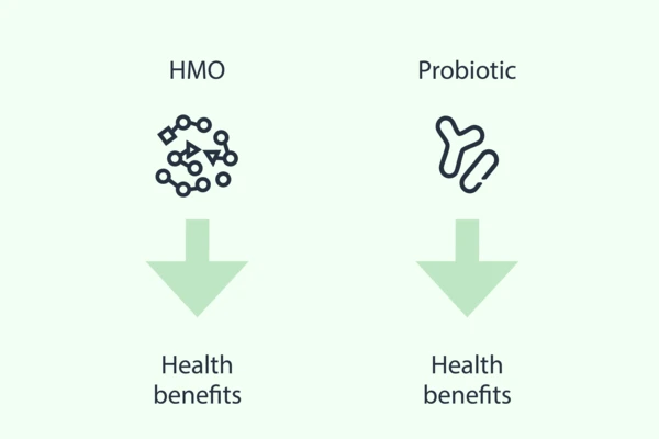 Synergistic synbiotics 