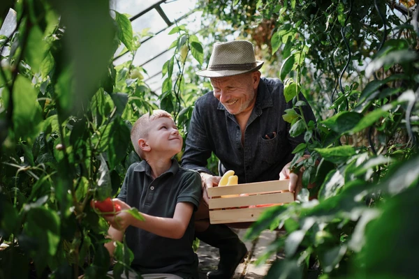 Take away bad breath