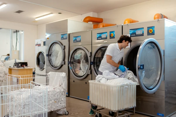 Professional laundry