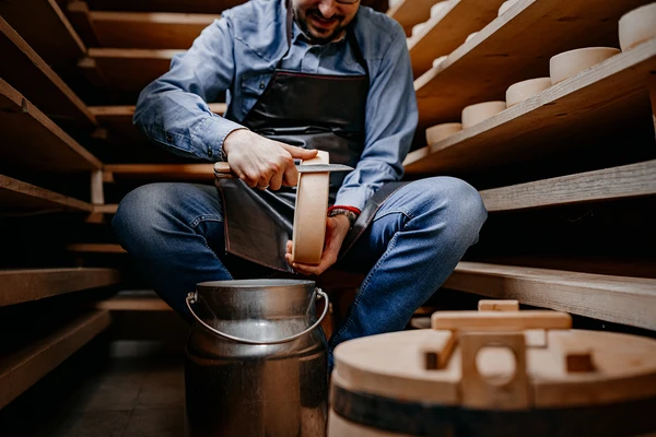 person cutting cheese wheel
