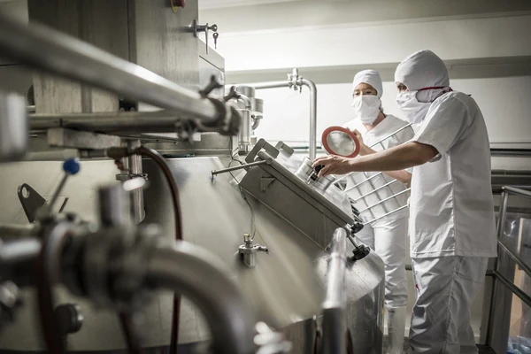 Two workers in a dairy checking a fermentation tank 