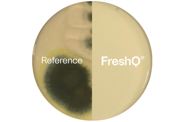 Two images of a petri dish spliced into one. On the left is the reference, with heavy mold growth. On the right is FreshQ, which is mold-free. 
