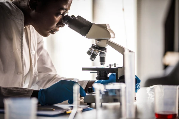 A scientist focusing while looking through the microscope and analyzing a sample. 