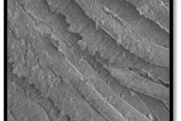 Soiled-membrane-cleaned-with-caustic-and-acid