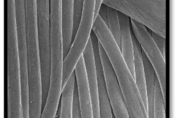 Soiled-membrane-cleaned-with-enzymes.