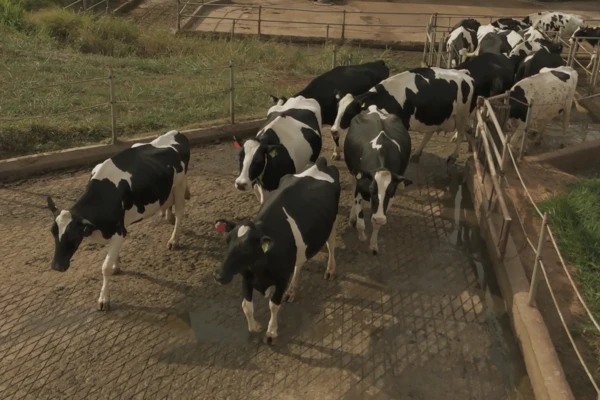 Resilient agriculture 