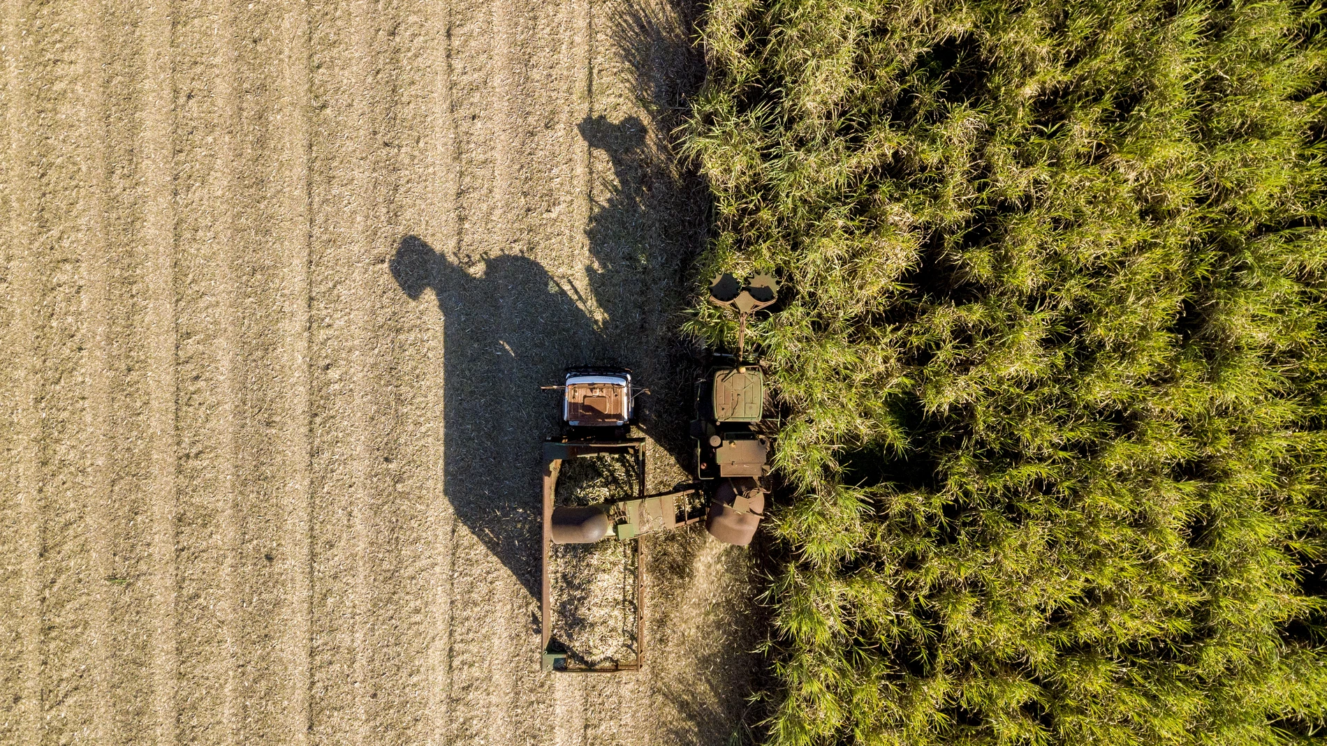 Farm_Plow_from_Top