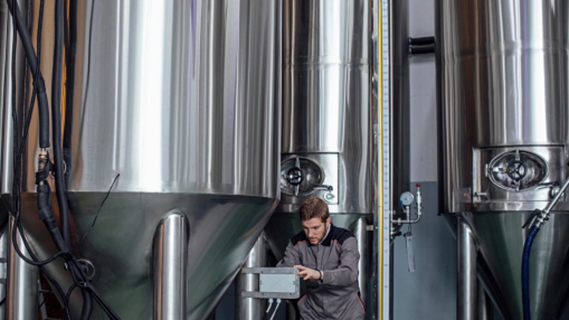 Brewing_brewer_checking_data