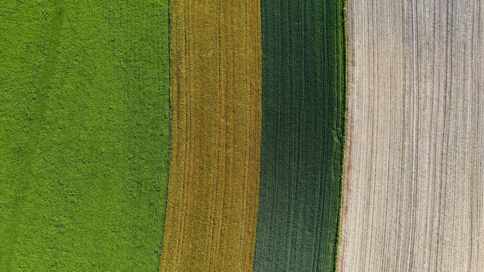 Drone image, agricultural landscape, agricultural fields and meadows