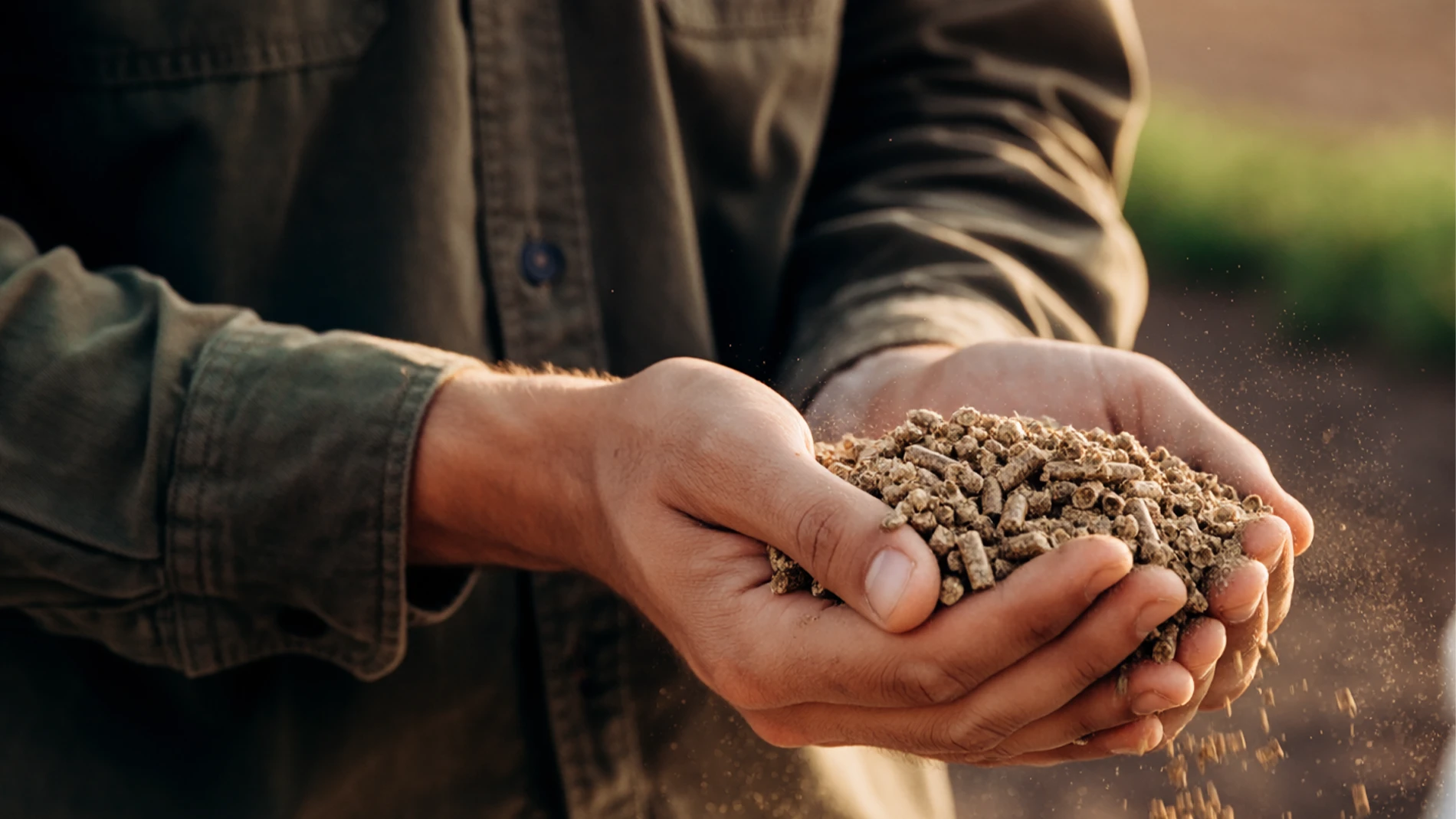 a farmer holding feed for animals