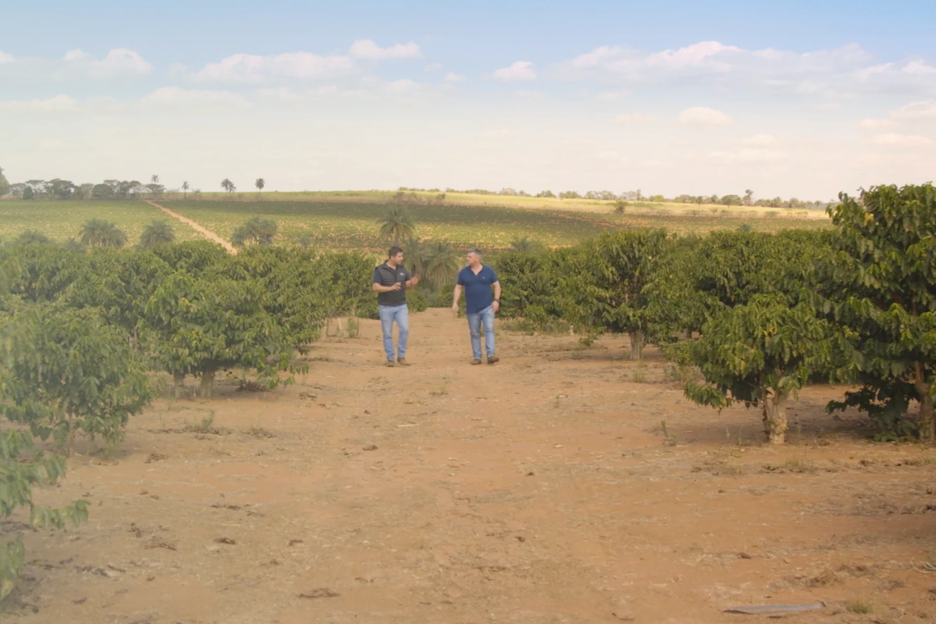 Improving food security