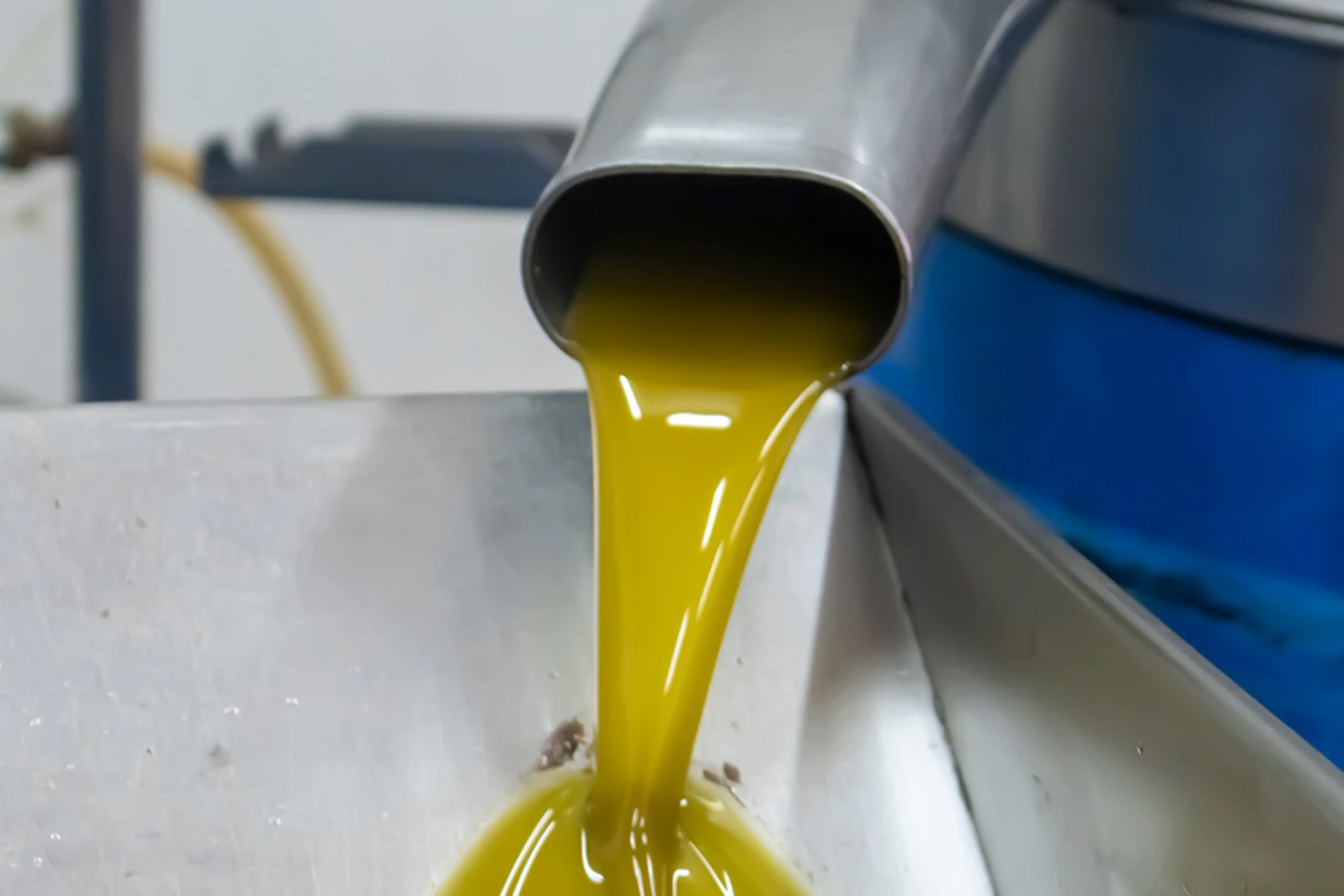 OliveOil_production_factory_steel_machine.