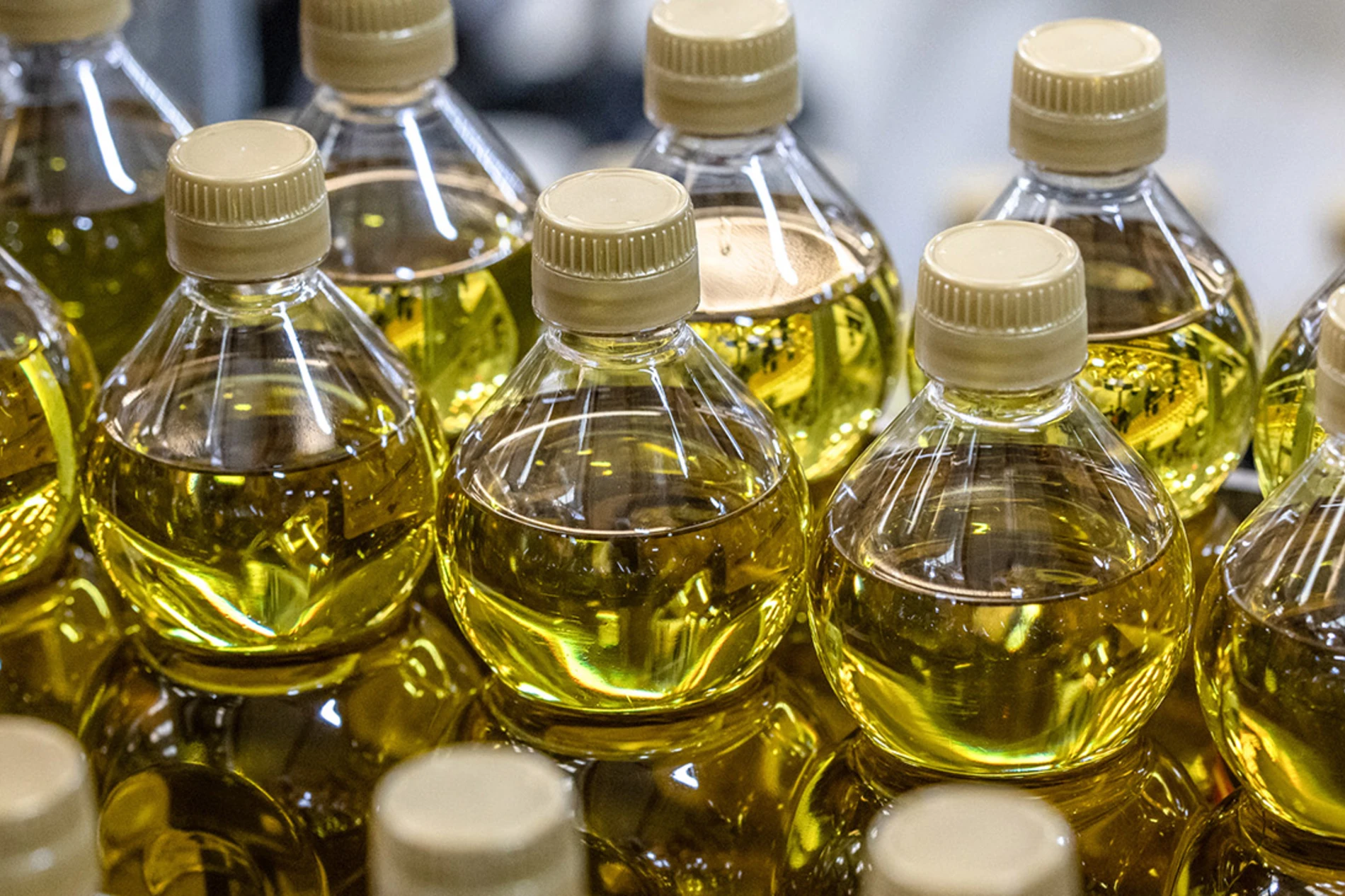 Oliveoil_in_bottle_on_a_conveyerbelt