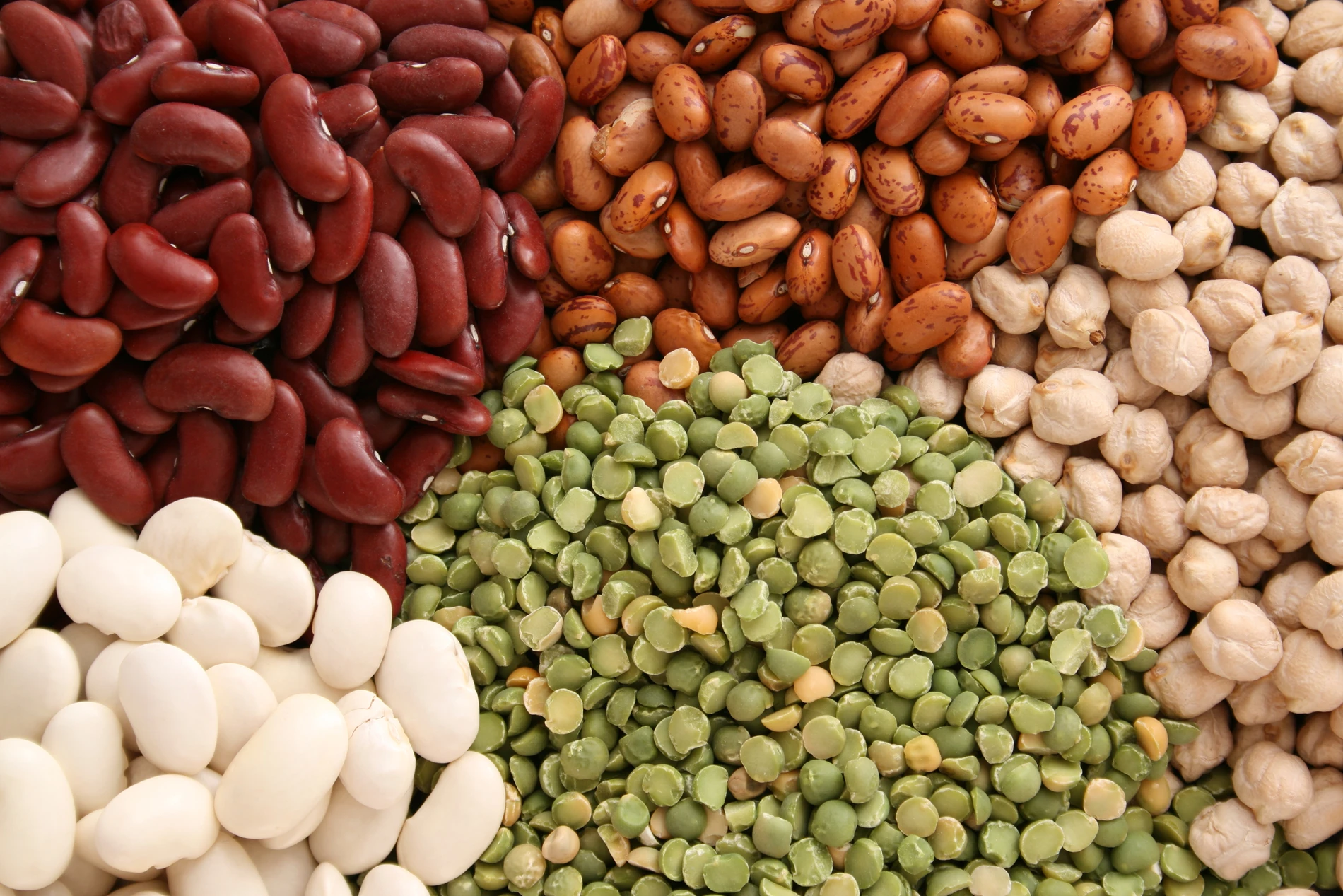 Multicolored types of grains