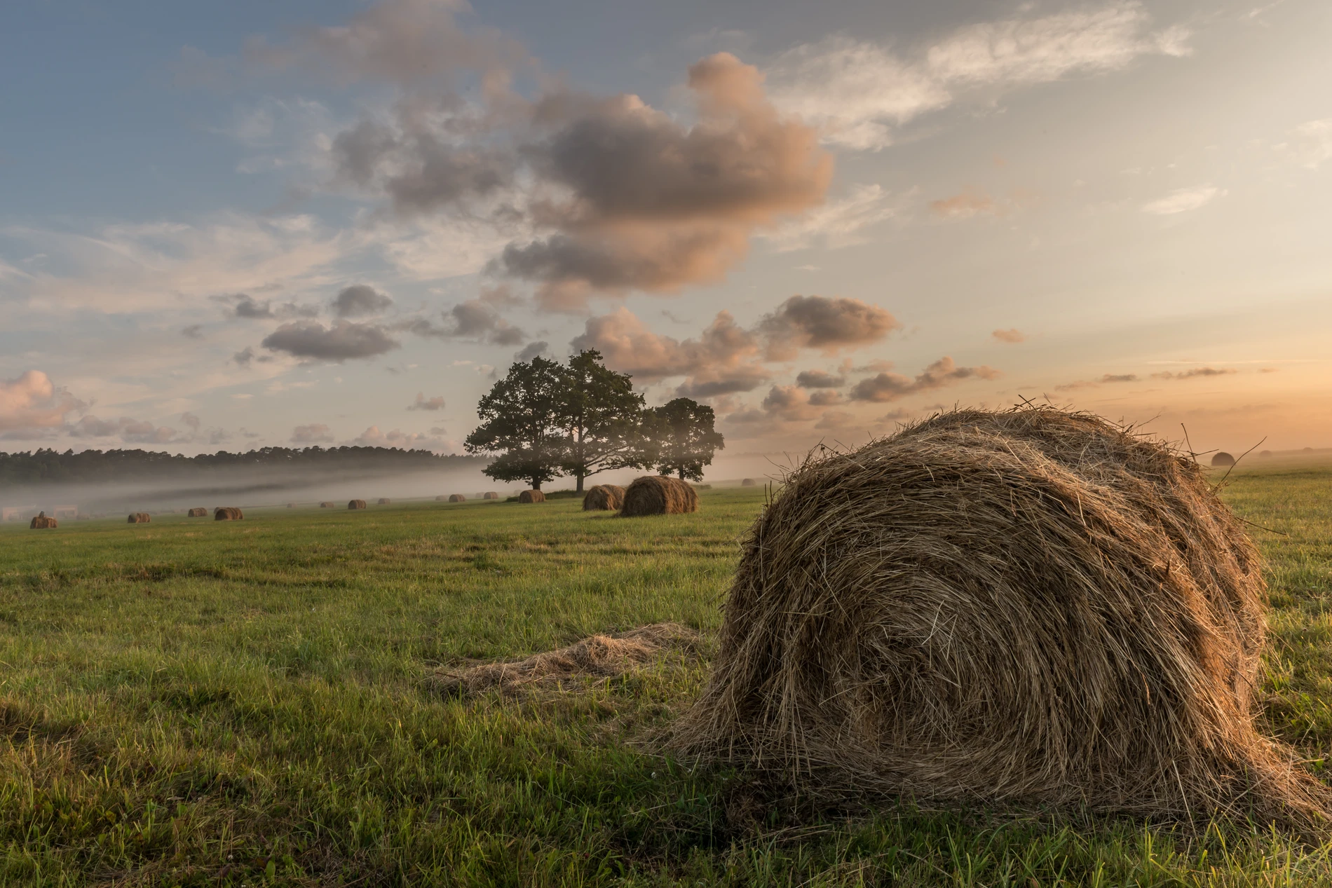 Scenic view of field against sky during sunset