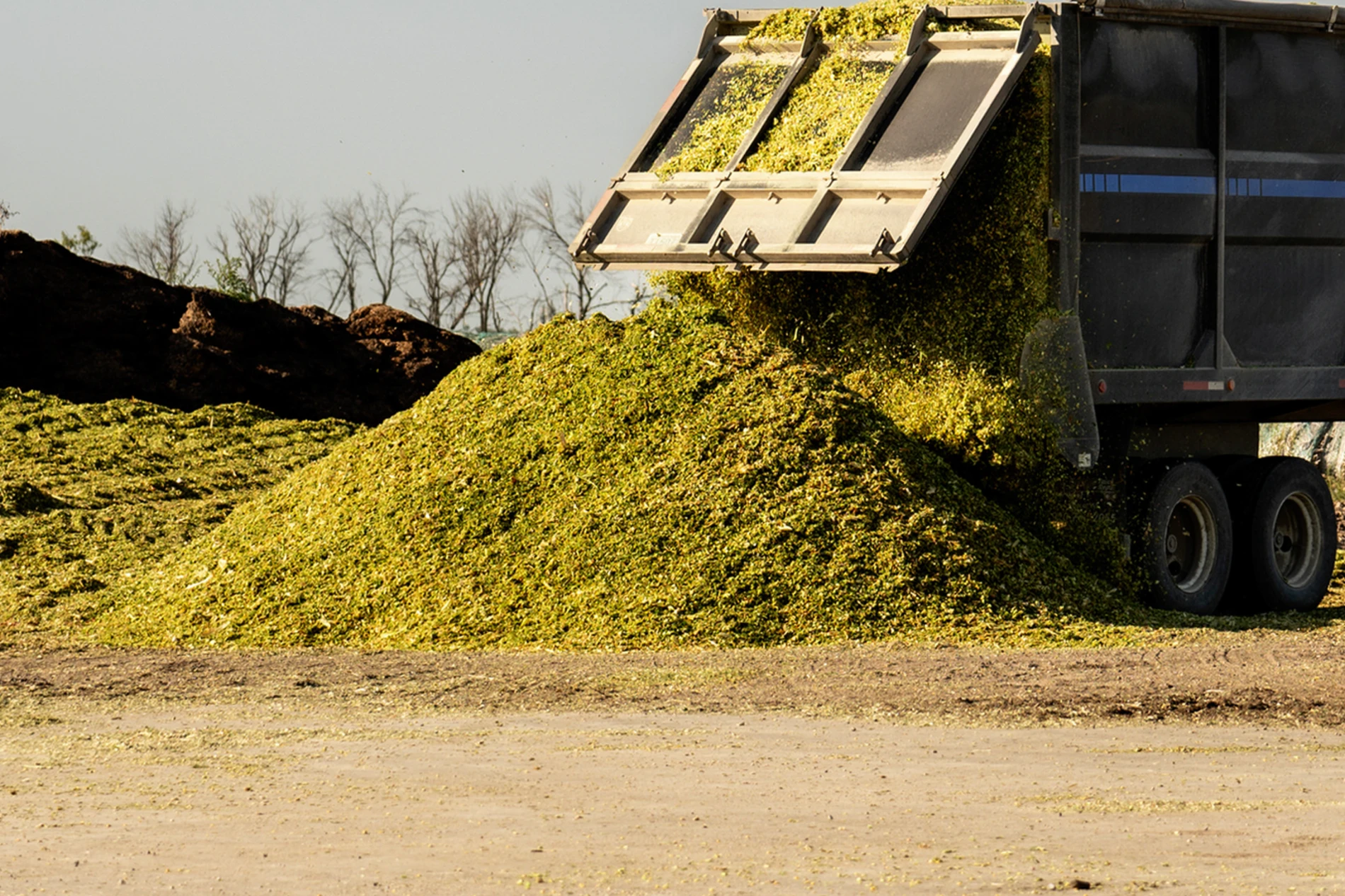 silage_truck_unload