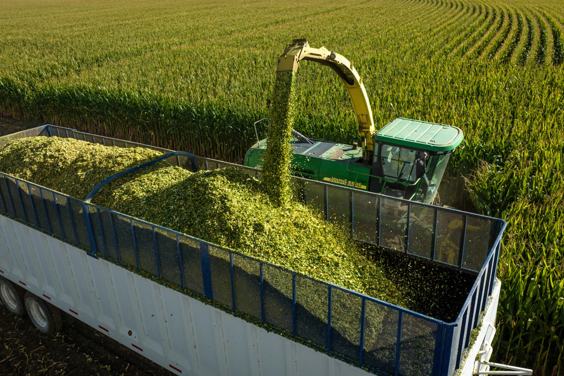 silage_truck_harvest