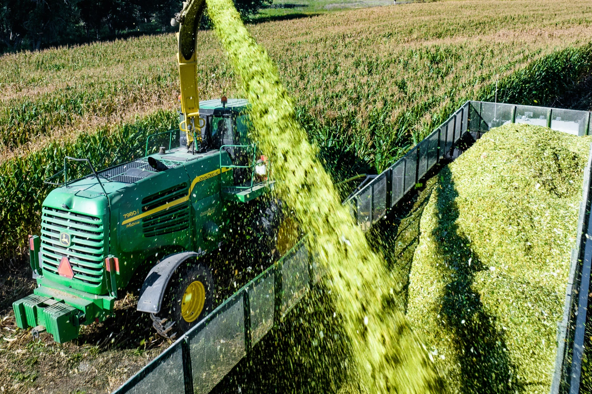 silage_inoculant_harvest