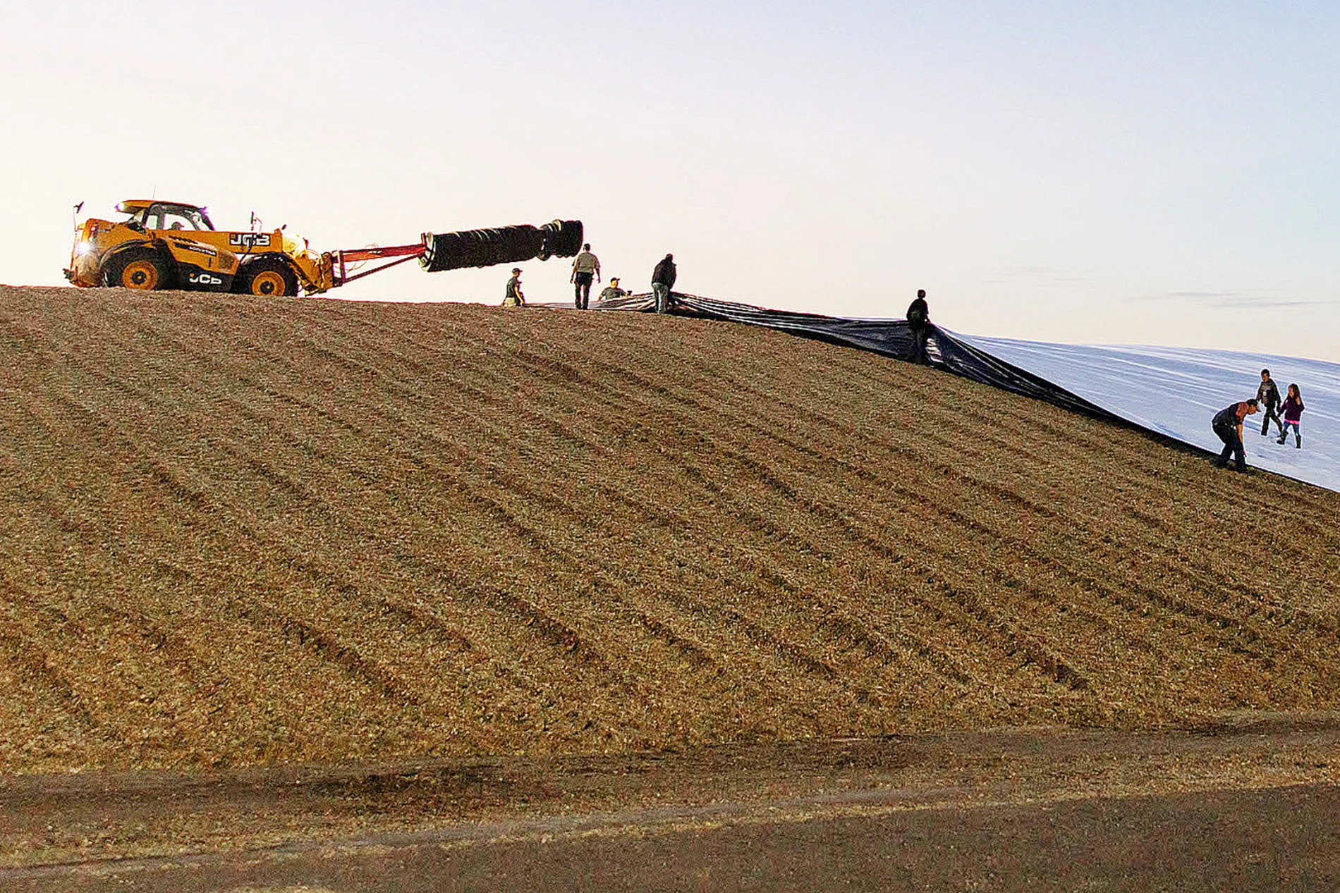silage_cover_worker