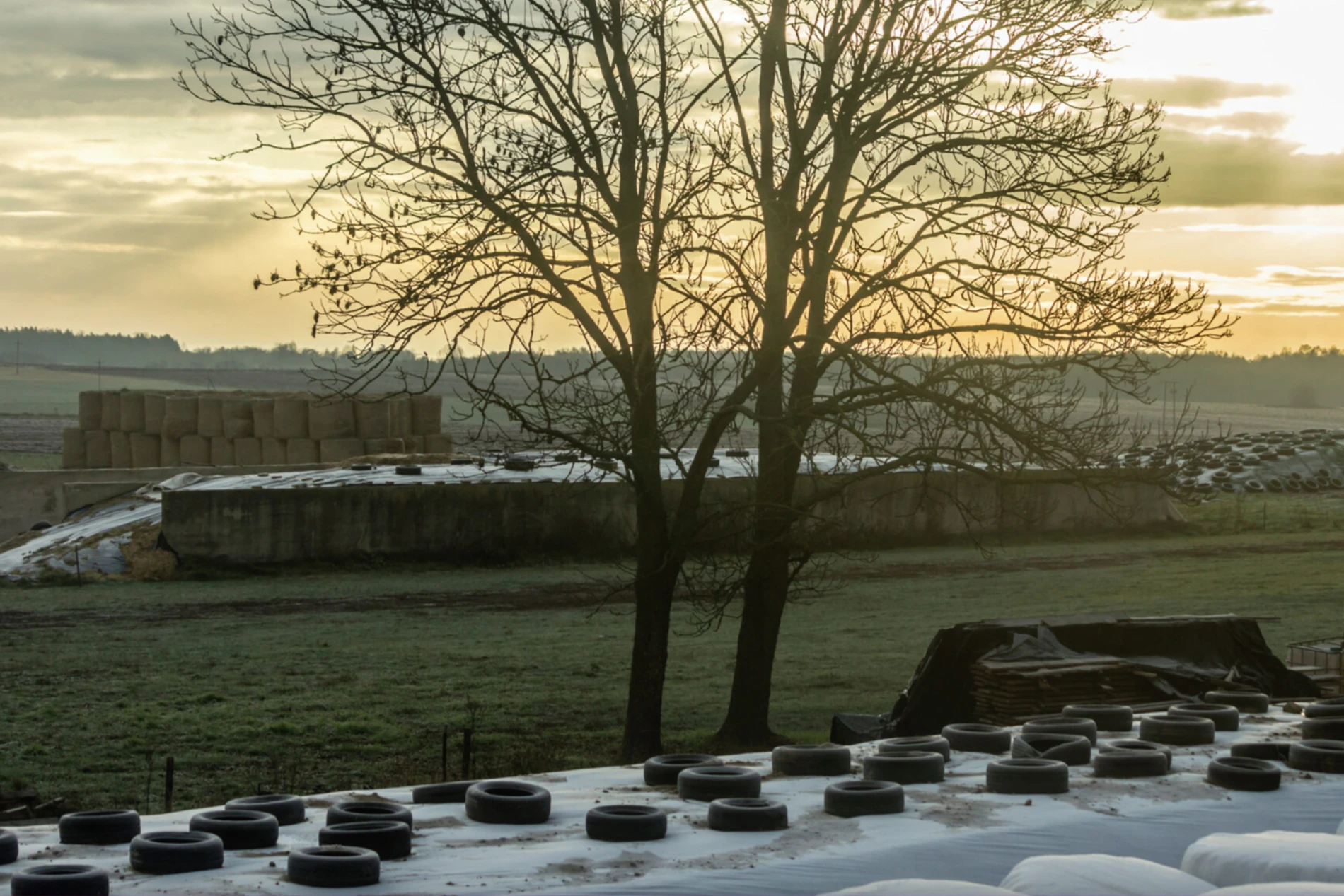 silage_landscape