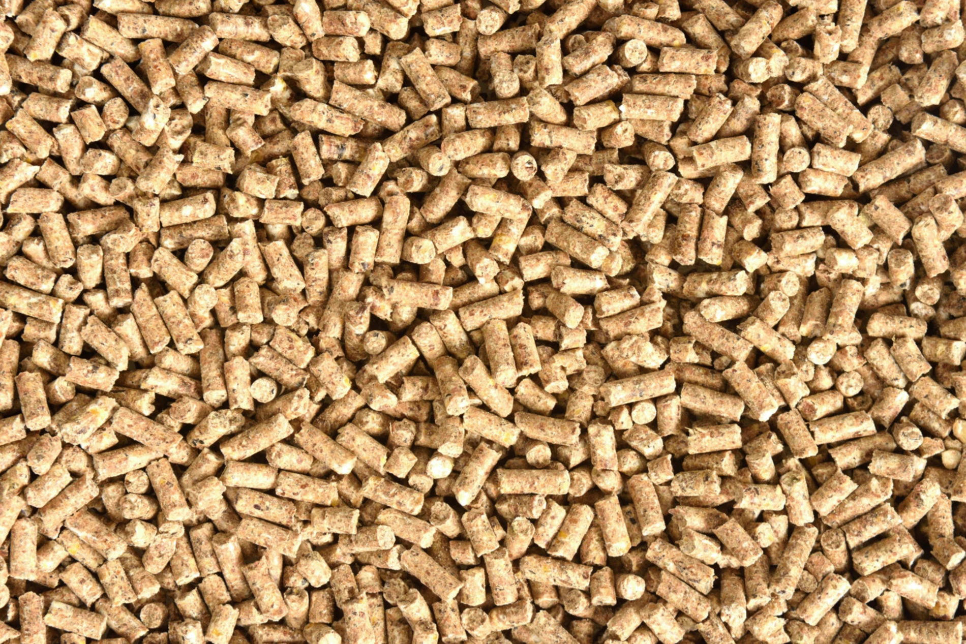 poultry feed