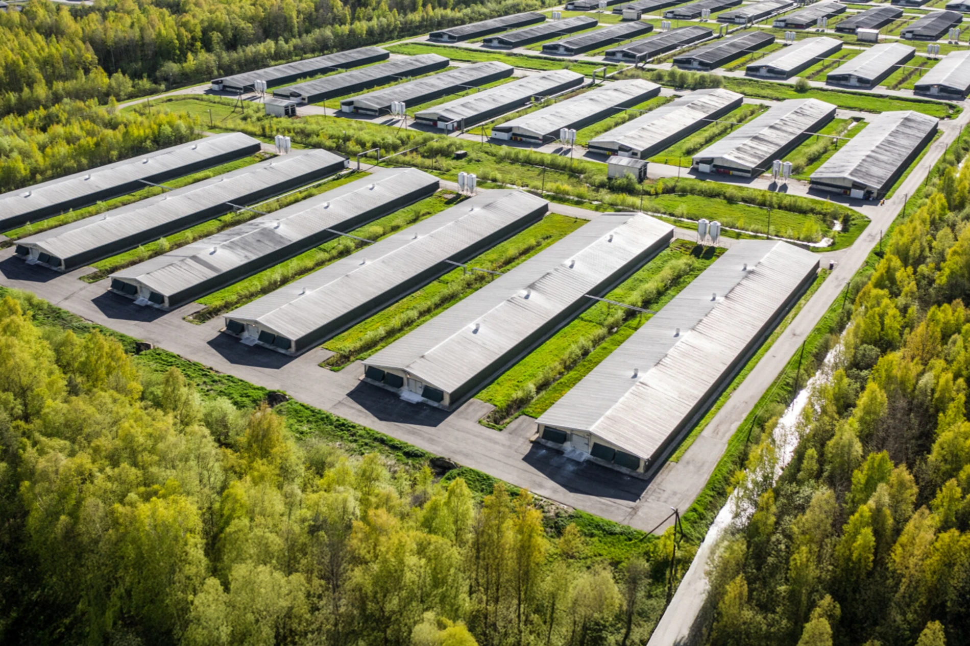 chicken farm from above