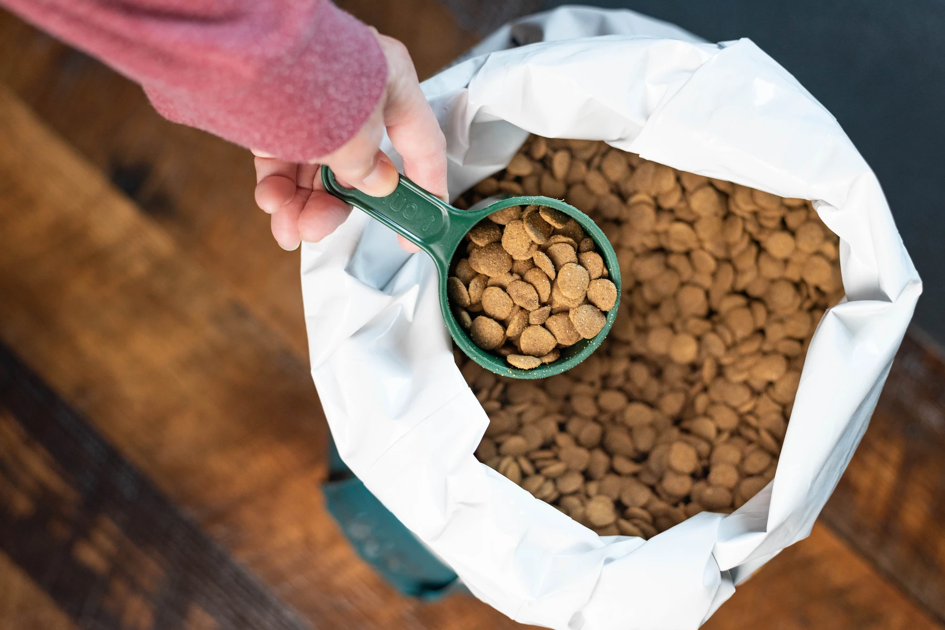 hand taking cup of pet food