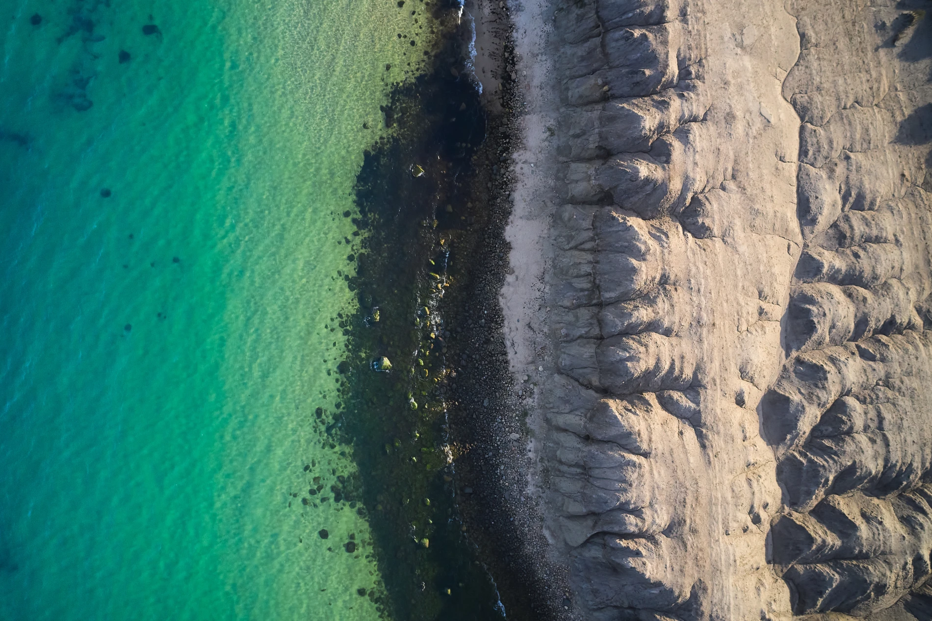 The_value_of_biosolutions