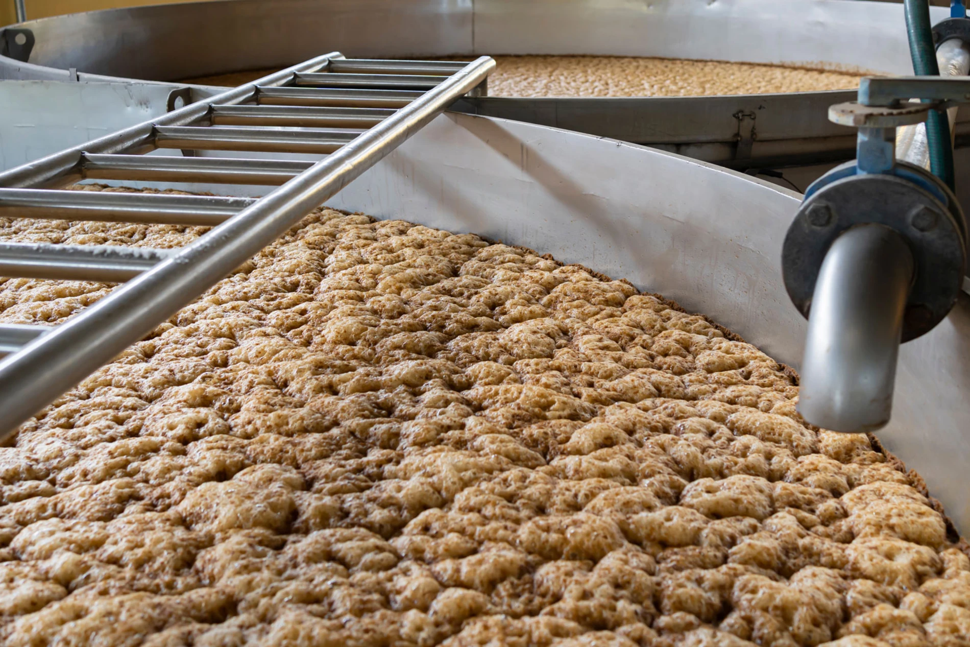 grain fermenting in a tank