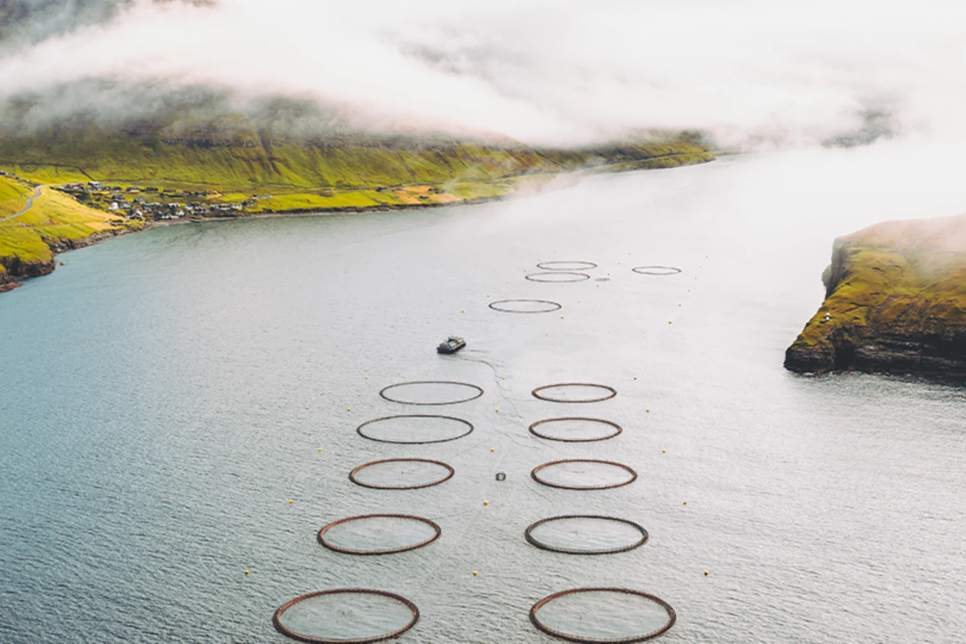 fishing pond for aquaculture